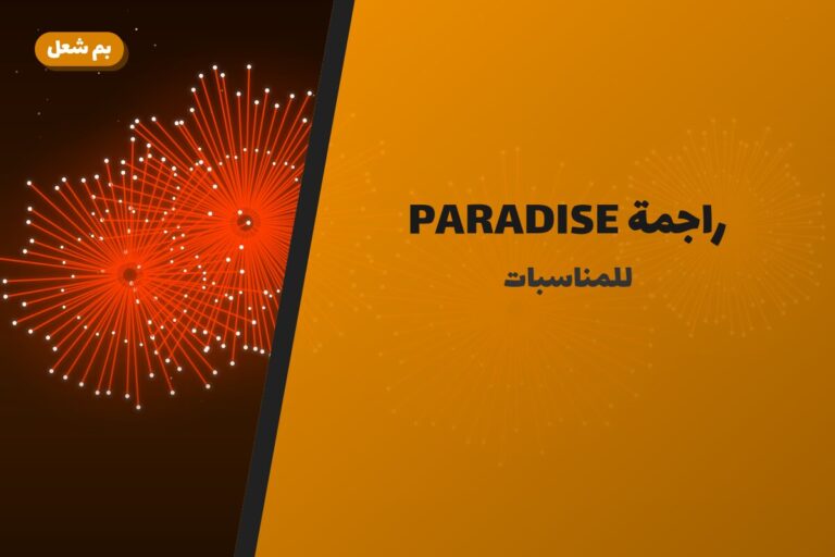 راجمة PARADISE: السعر والاستخدام الآمن وأفضل المناسبات