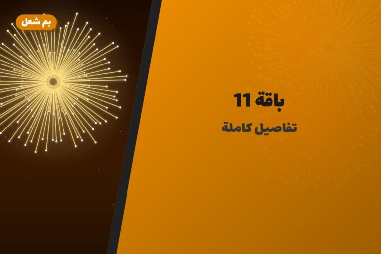باقة 11 في الكويت — السعر والتفاصيل