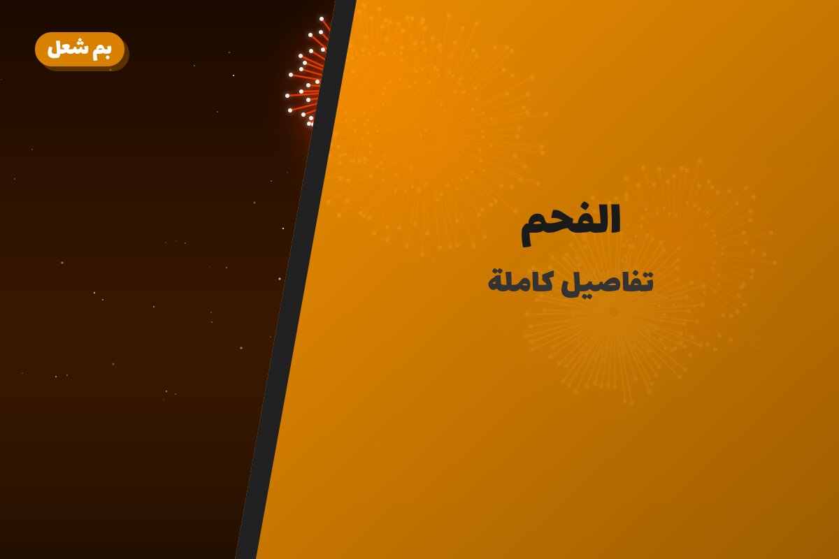 هل الفحم مناسب لمناسبتك؟ دليل الاختيار والسعر