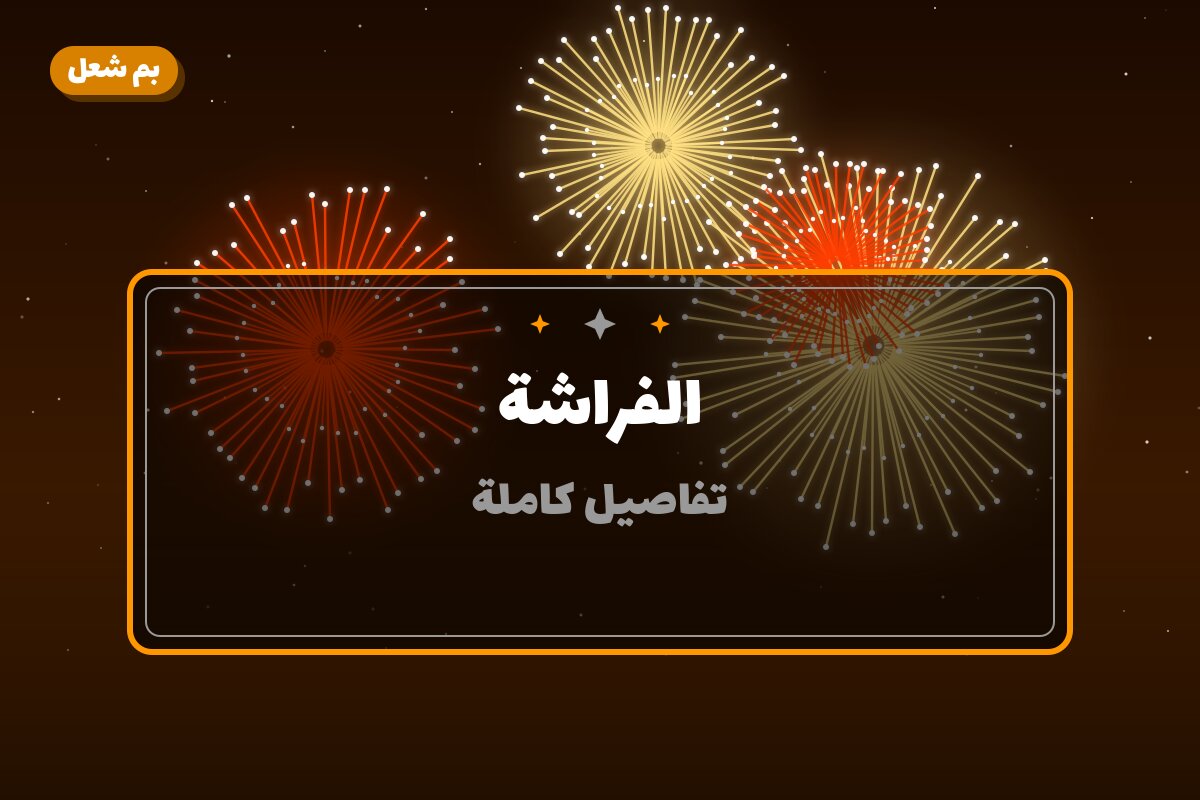 هل الفراشة مناسب لمناسبتك؟ دليل الاختيار والسعر